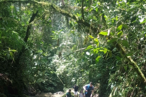 Von MedellÃn aus: Wanderung auf einem alten Pfad mit Guide zum Wasserfall