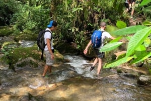 Von MedellÃn aus: Wanderung auf einem alten Pfad mit Guide zum Wasserfall