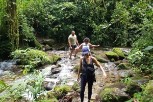 Von MedellÃn aus: Wanderung auf einem alten Pfad mit Guide zum Wasserfall