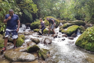 Von MedellÃn aus: Wanderung auf einem alten Pfad mit Guide zum Wasserfall