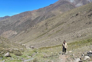Depuis Mendoza : Journée de trekking dans les Andes avec les Vallectios