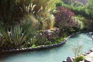 From Mendoza: Premium Spa Day at the Cacheuta Hot Springs