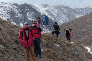 Desde Mendoza: Senderismo y Barbacoa en los Andes