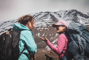 Desde Mendoza: Senderismo y Barbacoa en los Andes