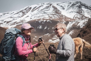 Desde Mendoza: Senderismo y Barbacoa en los Andes