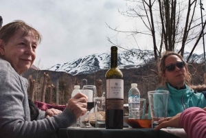 Desde Mendoza: Senderismo y Barbacoa en los Andes