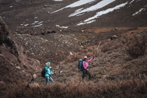 Desde Mendoza: Senderismo y Barbacoa en los Andes