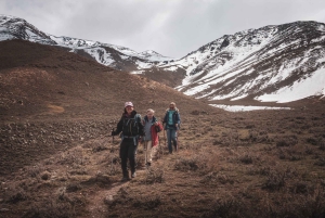 Desde Mendoza: Senderismo y Barbacoa en los Andes