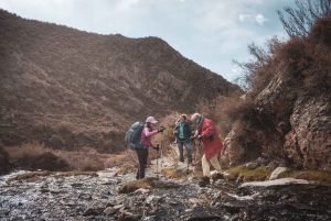 Desde Mendoza: Senderismo y Barbacoa en los Andes
