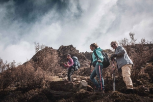 Desde Mendoza: Senderismo y Barbacoa en los Andes