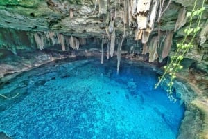 Depuis Mérida : découvrez les cénotes mayas et l'esprit de l'eau