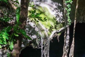 Depuis Mérida : découvrez les cénotes mayas et l'esprit de l'eau
