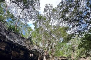 Depuis Mérida : découvrez les cénotes mayas et l'esprit de l'eau