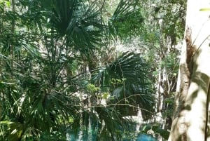 Depuis Mérida : découvrez les cénotes mayas et l'esprit de l'eau