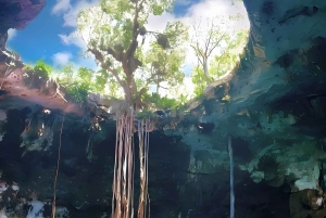 From Mérida: Tour 4 wonderful cenotes, All inclusive