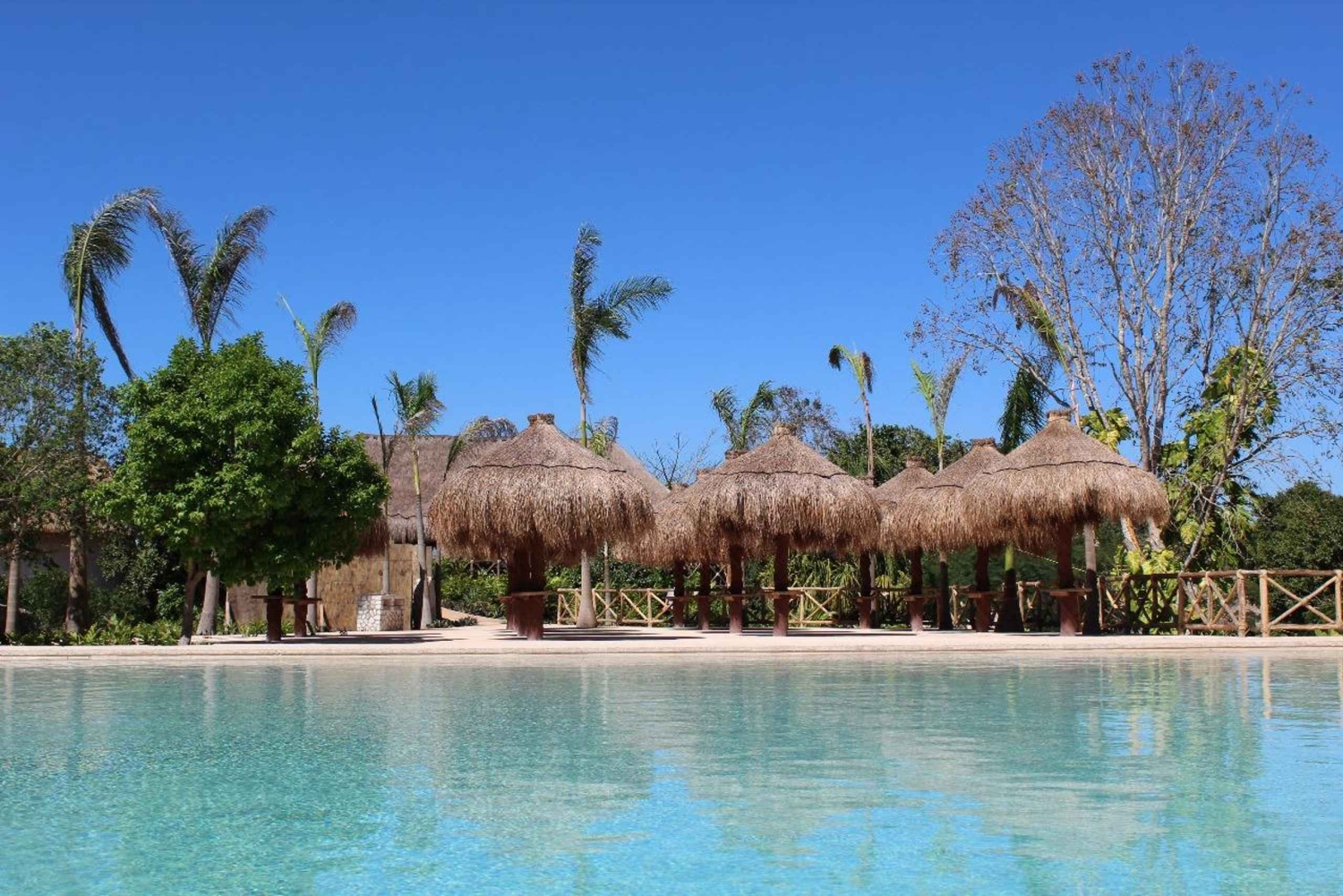 Fra Mérida: Besøg en emblematisk hacienda, nyd dens cenote