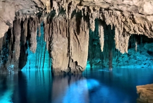 Fra Mérida: Besøg en emblematisk hacienda, nyd dens cenote