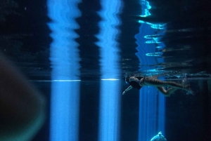 Fra Mérida: Besøg en emblematisk hacienda, nyd dens cenote