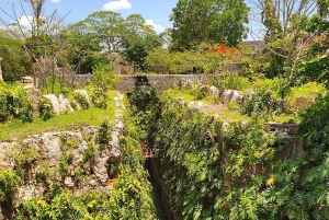 Fra Mérida: Besøg en emblematisk hacienda, nyd dens cenote