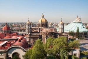 Vanuit CDMX: Expeditie door Teotihuacán, Tlatelolco en de basiliek van Guadalupe