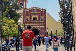 Mexico City: Puebla, Cholula och Tonantzintla med lunch