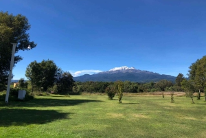 Mexico City: Puebla, Cholula och Tonantzintla med lunch