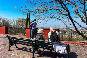 From Mexico City: San Miguel de Allende Day Trip