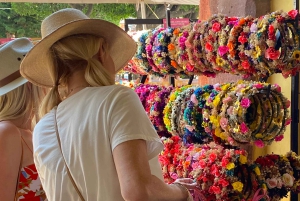 From Mexico City: San Miguel de Allende Day Trip