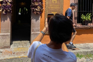 From Mexico City: San Miguel de Allende Day Trip