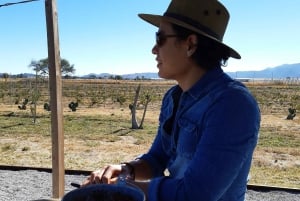 From Mexico City: Wine, Cheese and Art Gastronomic Route through Queretaro
