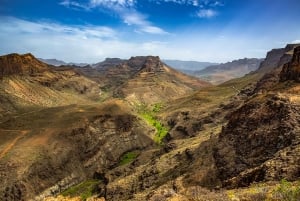 Depuis Mogán/Maspalomas/Arguineguín : Excursion d'une journée à Gran Canaria