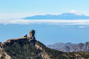 Depuis Mogán/Maspalomas/Arguineguín : Excursion d'une journée à Gran Canaria