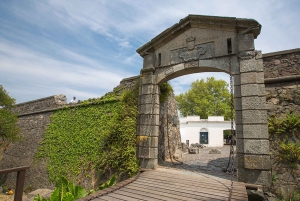 From Montevideo: Colonia Sacramento Full-Day Tour with Guide