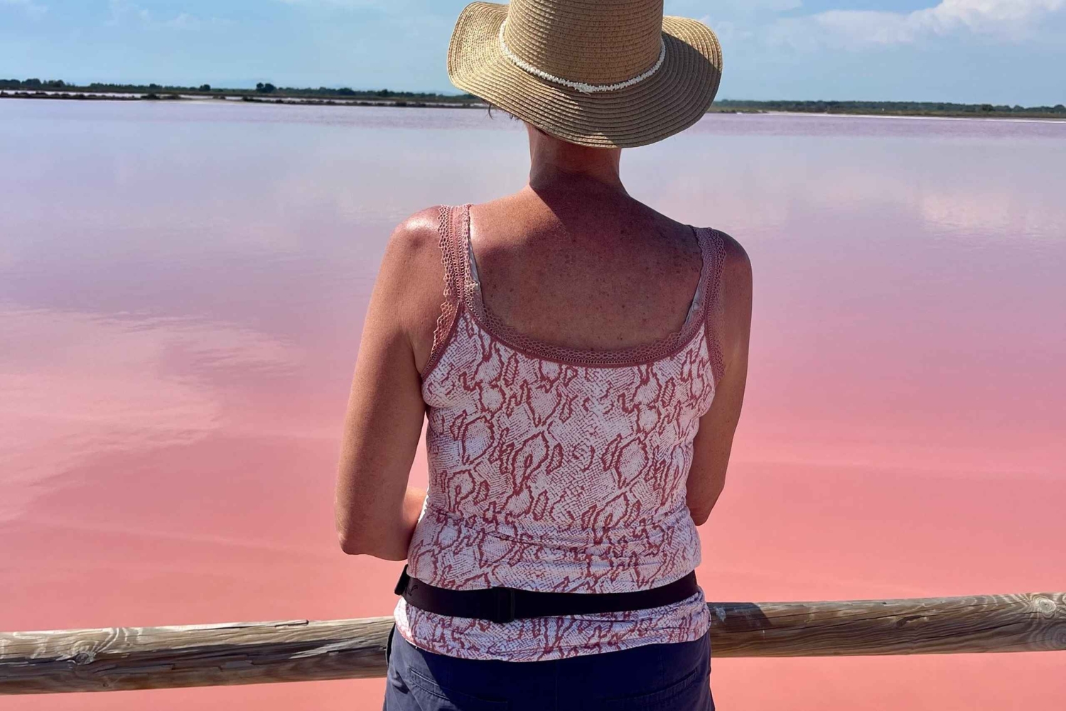 Von Montpellier aus: Camargue und Salzwiesen Geführte Tour