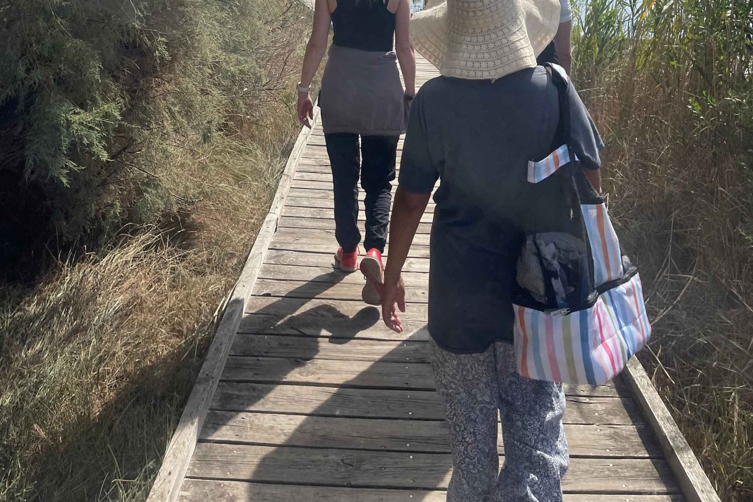 Von Montpellier aus: Camargue und Salzwiesen Geführte Tour