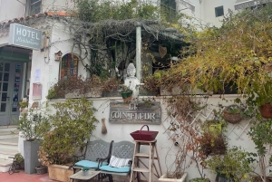 Von Montpellier aus: Camargue und Salzwiesen Geführte Tour