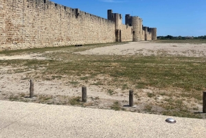 Von Montpellier aus: Camargue und Salzwiesen Geführte Tour