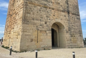 Von Montpellier aus: Camargue und Salzwiesen Geführte Tour