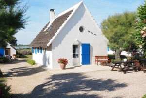 Из Монпелье: Посетите Камарг и Эгю-Мортес