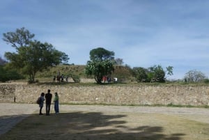From Oaxaca: Monte Albán and Art Craft Towns Day Trip