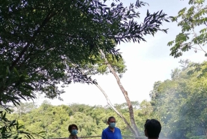 Desde Palenque: Experiencia Privada Ceremonia Maya Lacandona