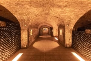 From Paris: Day Trip to Champagne with 8 Tastings & Lunch