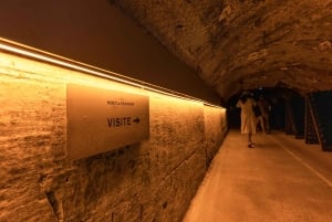 From Paris: Day Trip to Champagne with 8 Tastings & Lunch