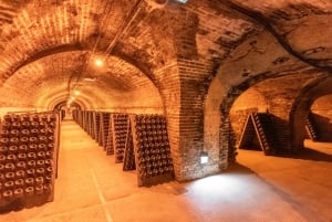 From Paris: Day Trip to Champagne with 8 Tastings & Lunch