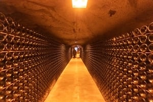 From Paris: Day Trip to Champagne with 8 Tastings & Lunch