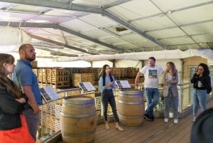 From Paris: Day Trip to Champagne with 8 Tastings & Lunch