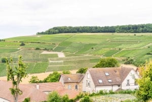From Paris: Day Trip to Champagne with 8 Tastings & Lunch
