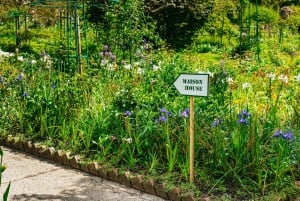 Da Parigi: Giverny, la casa e i giardini di Monet, tour di mezza giornata