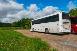 Da Parigi: Giverny, la casa e i giardini di Monet, tour di mezza giornata