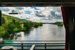 Da Parigi: Giverny, la casa e i giardini di Monet, tour di mezza giornata